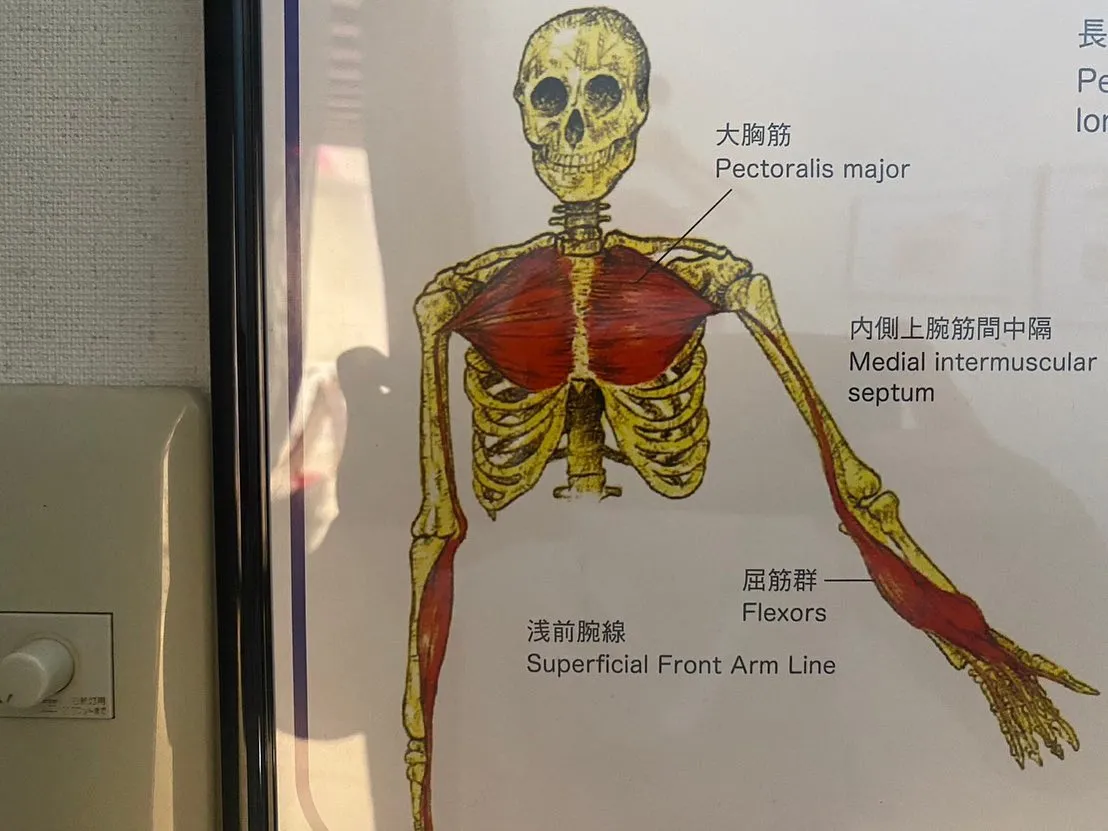 一般女性は最低30キロ　一般男性は最低50キロが理想です