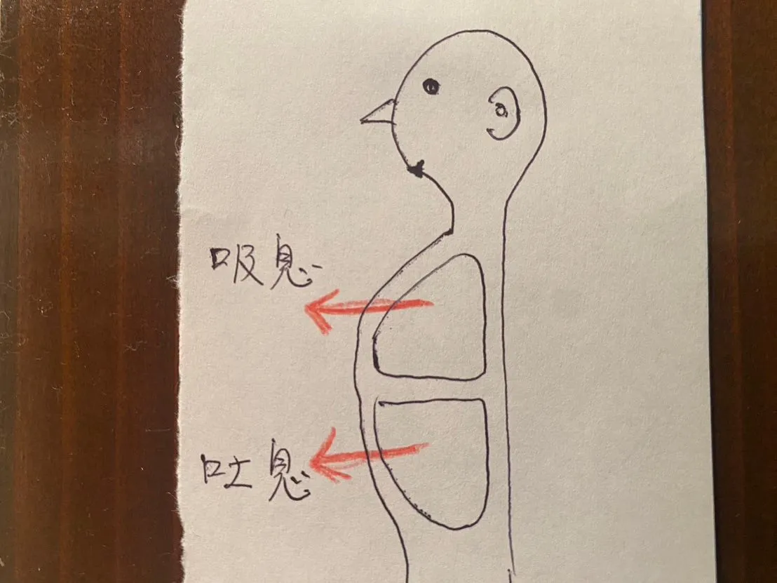 マラソンシーズンですね。