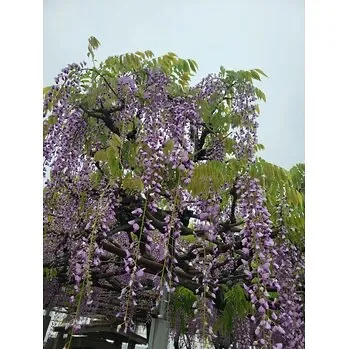 皆さま、いかがお過ごしでしょうか?