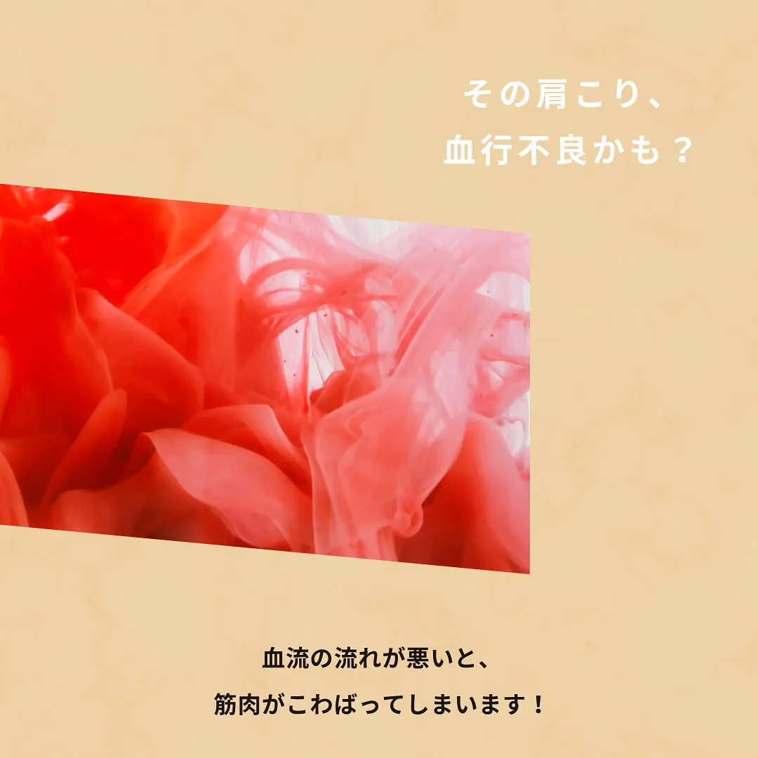 「肩こり、自己流マッサージだけで大丈夫？」福津市の整体院が教...
