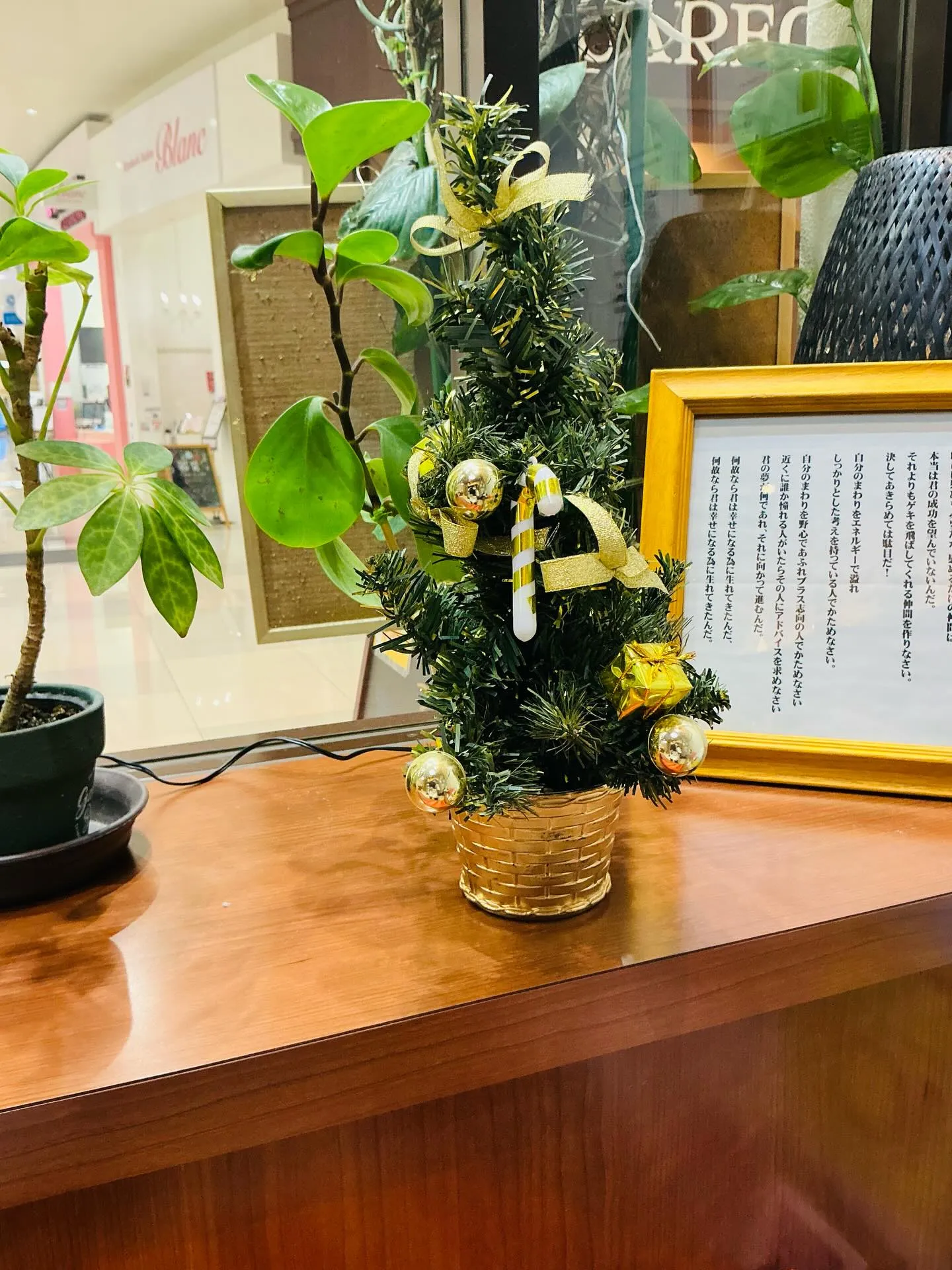 院のクリスマス仕様になりました❗️