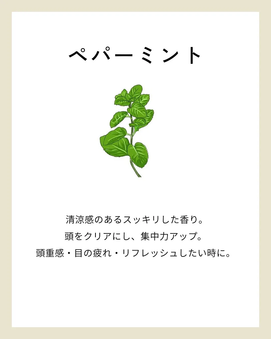 こんにちは！整体院オアシス筑紫野院です😊