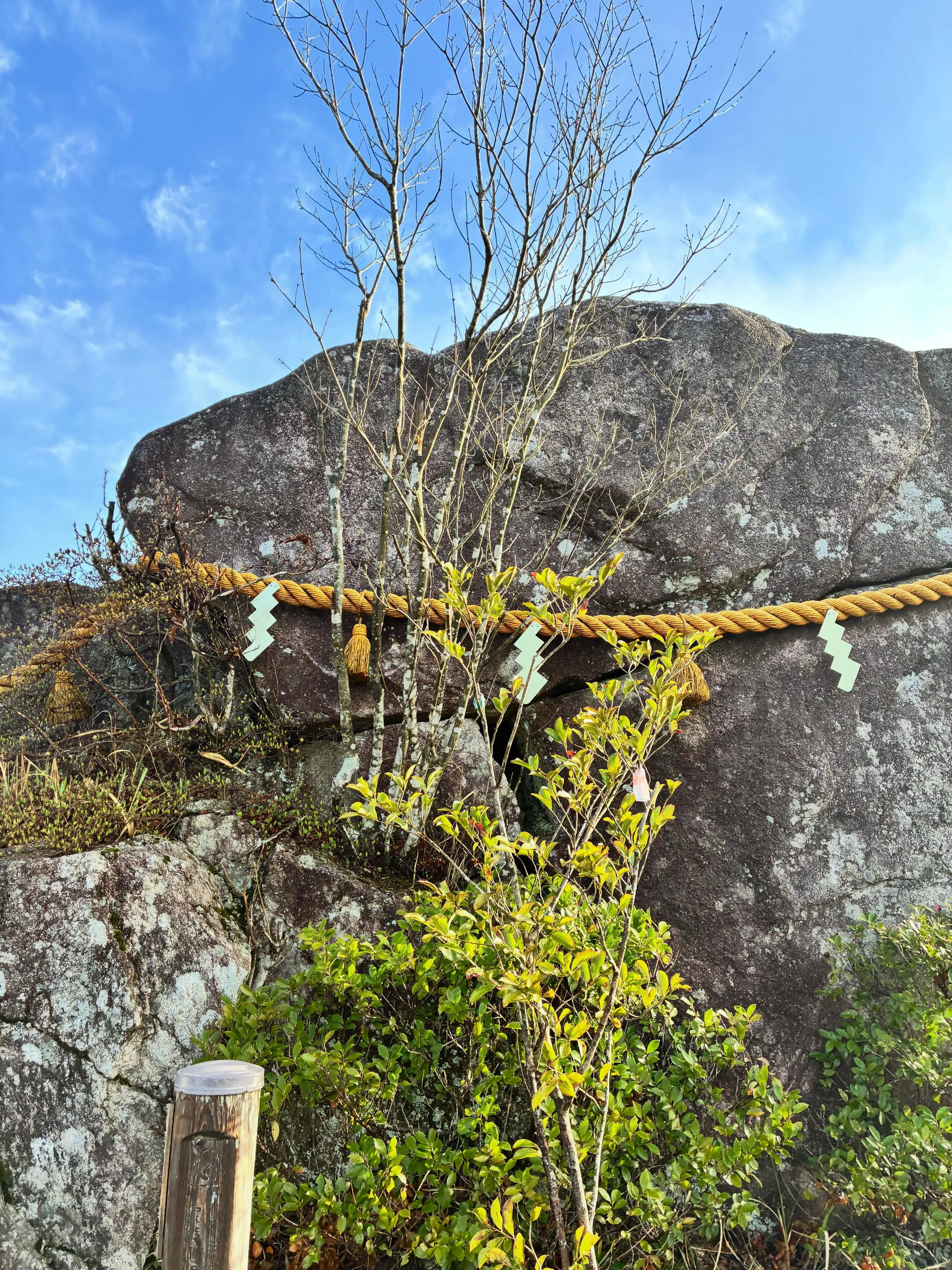 「筑紫野市で整体をお探しの方へ|宝満山の景色⛰️