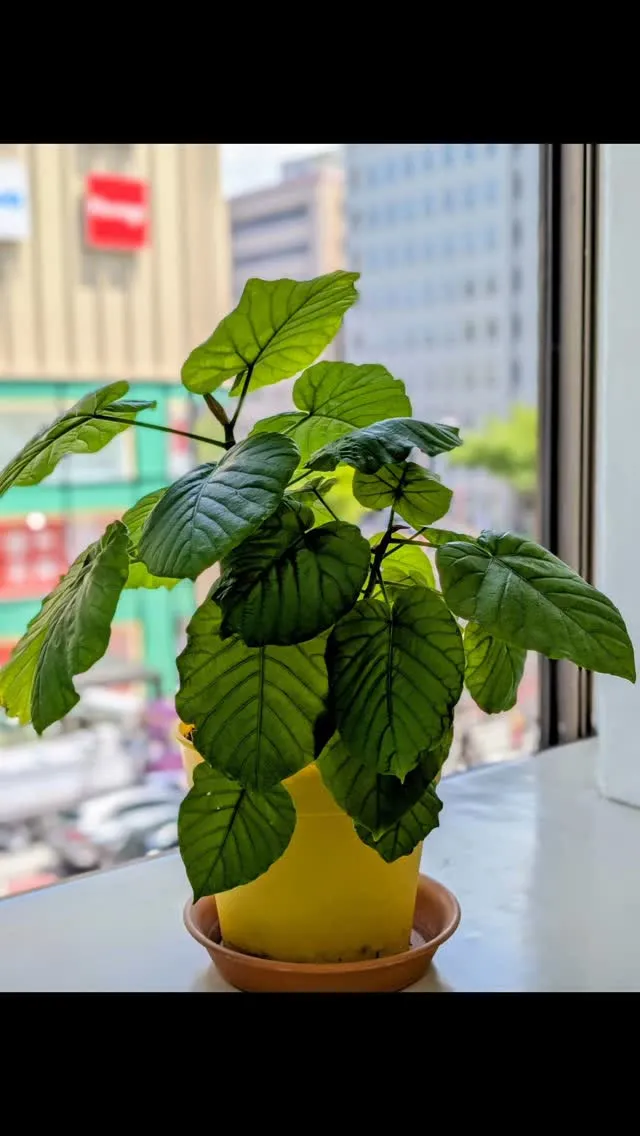 ☀️ 5月も元気に過ごしましょう！ ☀️