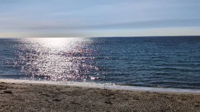 ただいま！お盆休みを終えて、今日から再開です！